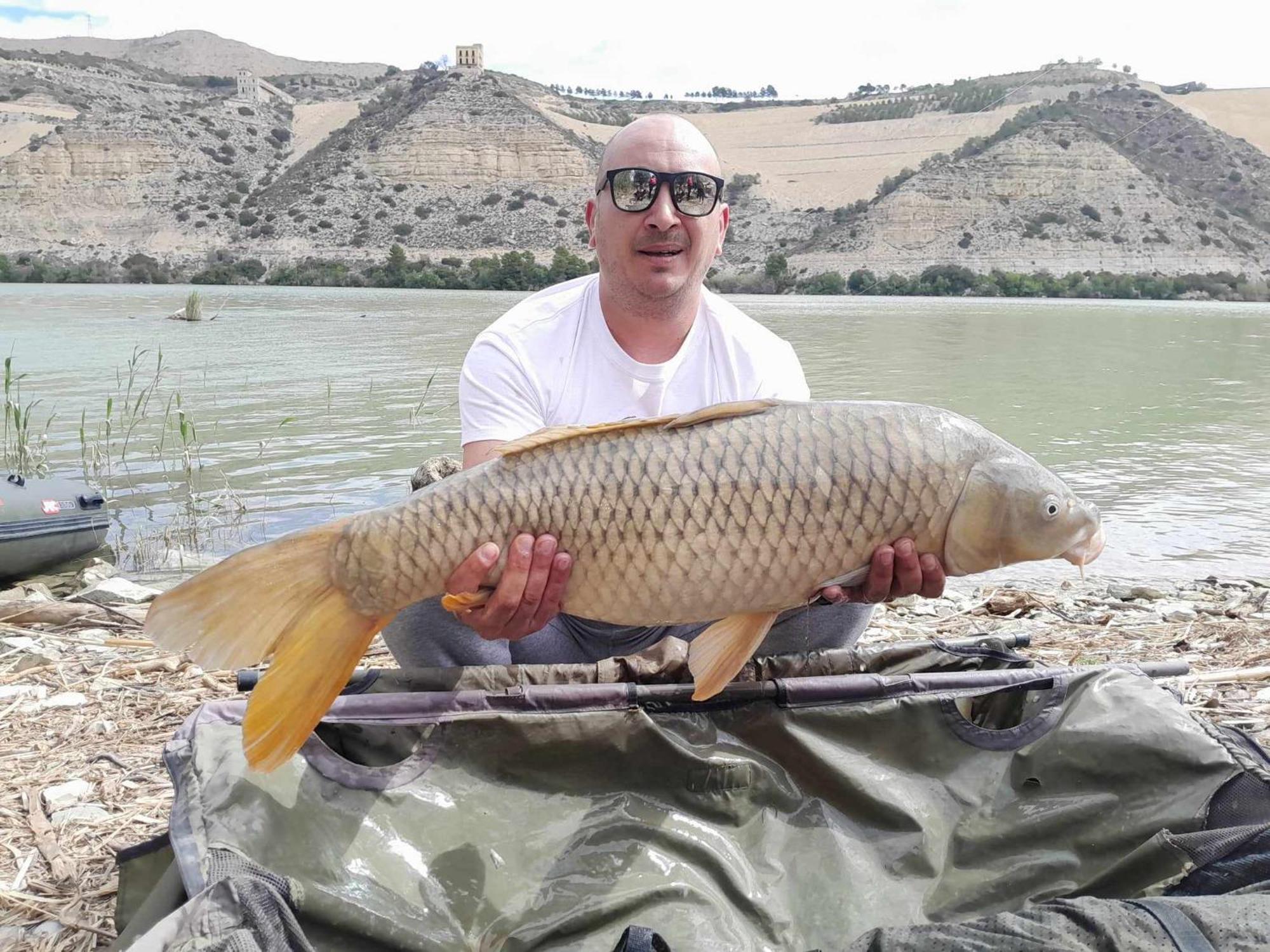 R U Ready Fishing, River Ebro Mequinenza Exterior foto